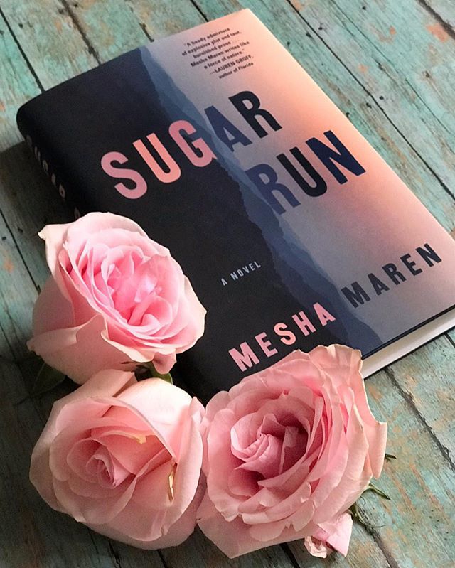 sugar run book